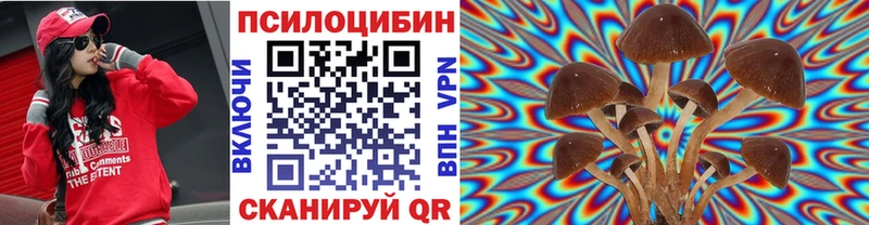 наркошоп Лукоянов Галлюциногенные грибы Psilocybe